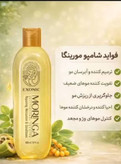 شامپو مورینگا اصل اصل